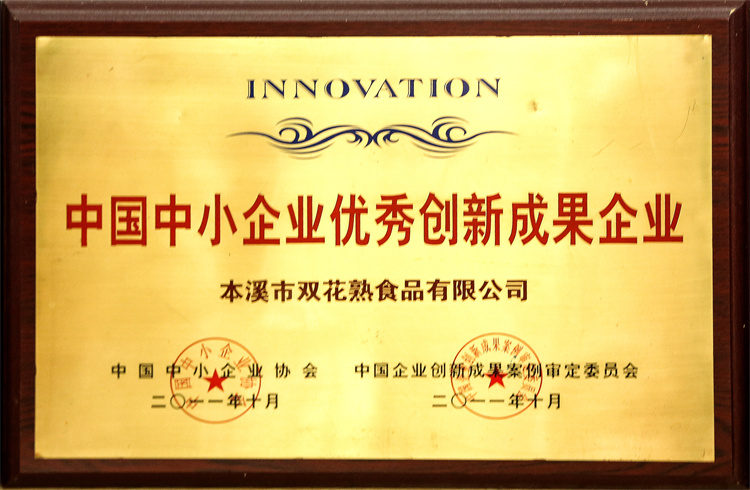中国中小企业优秀创新成果企业